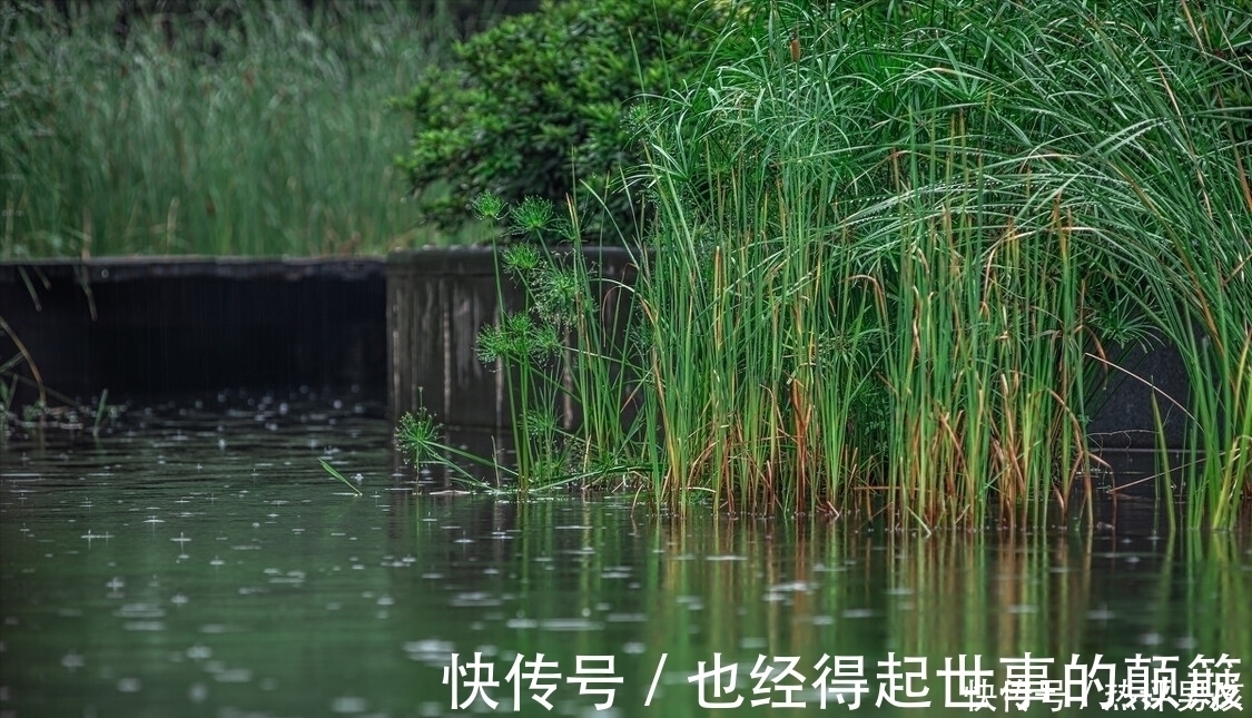 誠齋體!楊萬里在小雨中寫的一首詩,幽默風趣,把自然之美寫得無以倫比