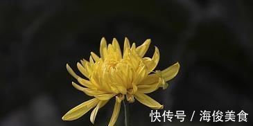 词人|张抡最经典的一首词，诗中有画，辞意兼美，令人心醉