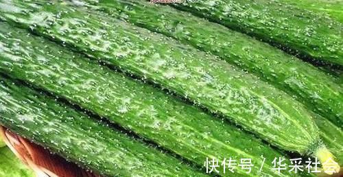 营养|营养十足的食物,男女坚持吃,改善失眠,预防便秘,吃了都说好