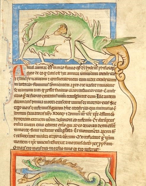 手稿!世界上最贵的5本书,达·芬奇手稿被比尔·盖茨买走了!