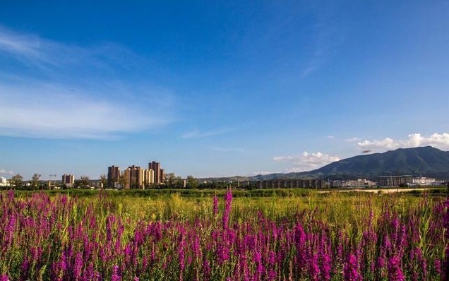 幸福的生活|此3生肖咸鱼要翻身，最近两周大运来袭，处处有财，赚的盆满钵满