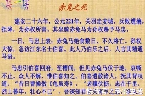 高考|高考中3篇“独特”的作文，两篇给满分，最后一篇阅卷老师读不懂