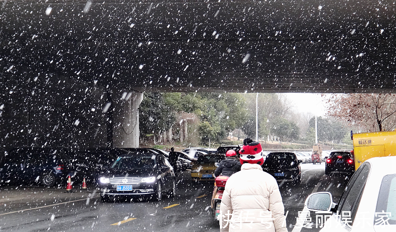 小白兔|想要宝宝说话早,念念这些三字儿歌,妈妈多念能让宝宝开口早