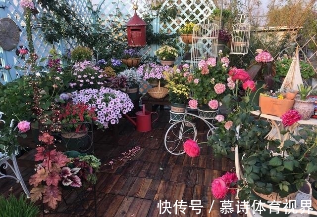 家里养花别随便，“2种花”真的不能养，虽然漂亮，却很“晦气”
