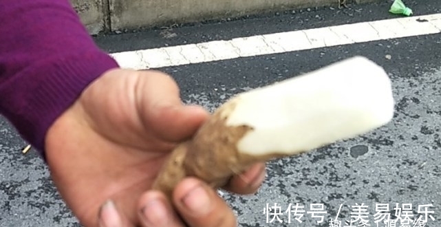 源易缘|第一次见太行山上的野生山药,就是与众不同,不像山药更像根雕