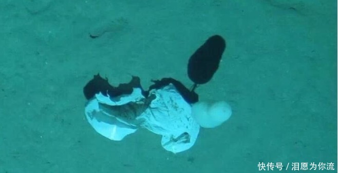 3900米海底深處,“潛龍三號(hào)”拍攝了一組照片,我們應(yīng)該反思