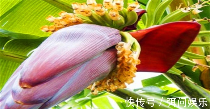 香菇炒油菜|想养生得会吃,常吃三种食物、改善睡眠,刮油排毒,好吃又营养