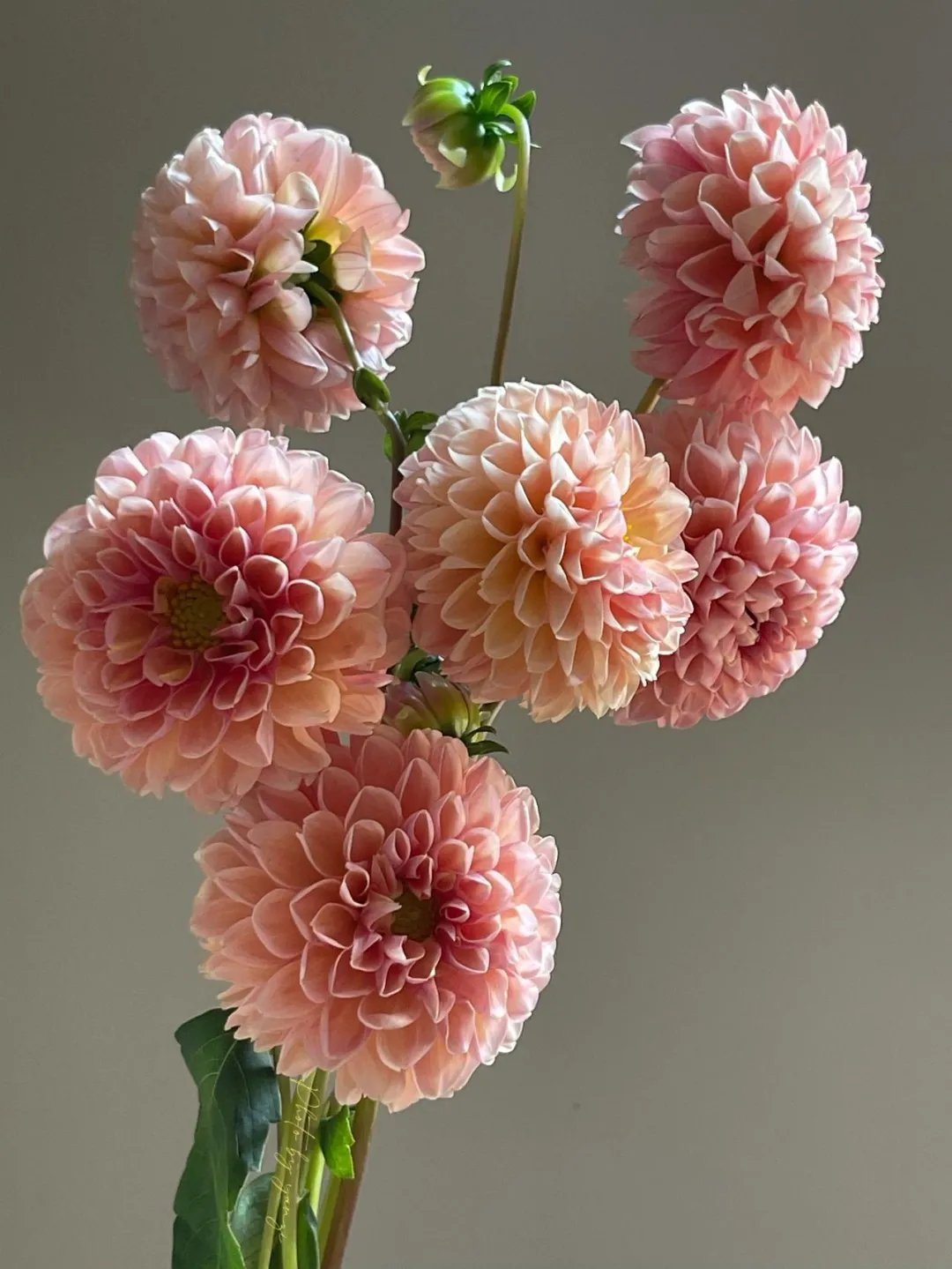 别舍弟宗一！30首经典数字诗，一首一个名句，让人拍案叫绝