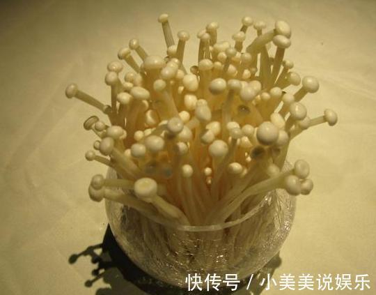 阳台|城市人阳台盆栽蔬菜,选啥合适此4款既能当绿植观赏又能吃
