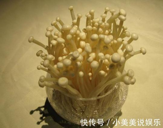 阳台|城市人阳台盆栽蔬菜，选啥合适此4款既能当绿植观赏又能吃