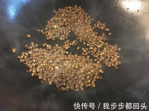 圆白菜|这饺子馅太稀罕了！饺子店不外传的配方，难怪吃着比家里香