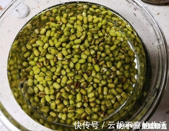 豇豆|今天才知道，原来发豆芽这么简单，3天就能吃，比买的还脆嫩新鲜