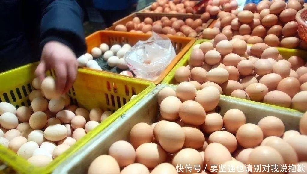 买鸡蛋时，白壳和红壳鸡蛋选哪种好？教你三招，买到好鸡蛋