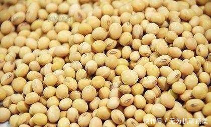 食物|3种食物, 让血管越吃越干净