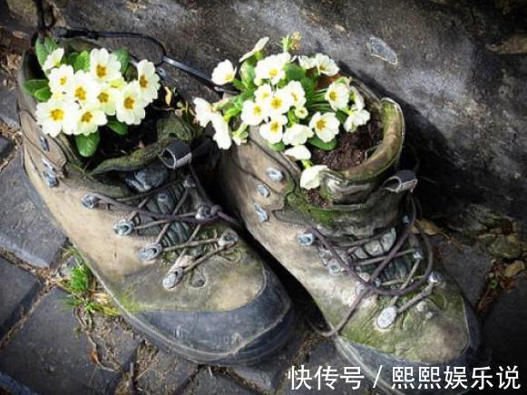 烦恼家中没有花盆就用2种''养花神器'',后者可循环使用