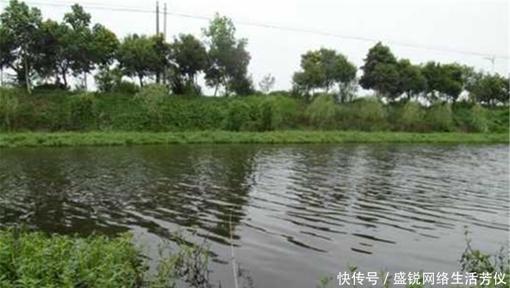 浮漂|夏季钓鱼，选择活水钓点，试试这种钓法，不用浮漂也能钓鱼！