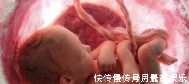 辐射|我怀孕了,把你家wifi关了孕妇怕辐射敲遍邻居门,回复亮了