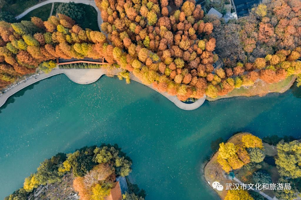 上图片取景|武汉冬景，才不是你想的那样！