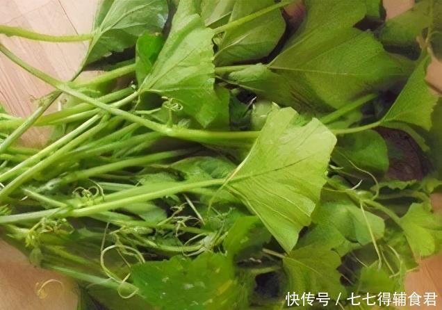 抵抗力|人到中年想长寿,常吃3种食物,排毒清肠,疏通血管,增强抵抗力