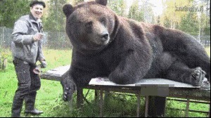 |搞笑GIF：太厉害了 这手速没个三年五载练不出来