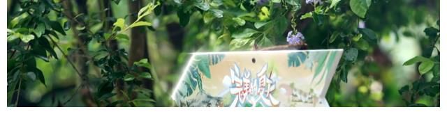 完美的夏天|IXFORM也要有團隊綜藝了？《完美的夏天》接收多少這類愛豆了