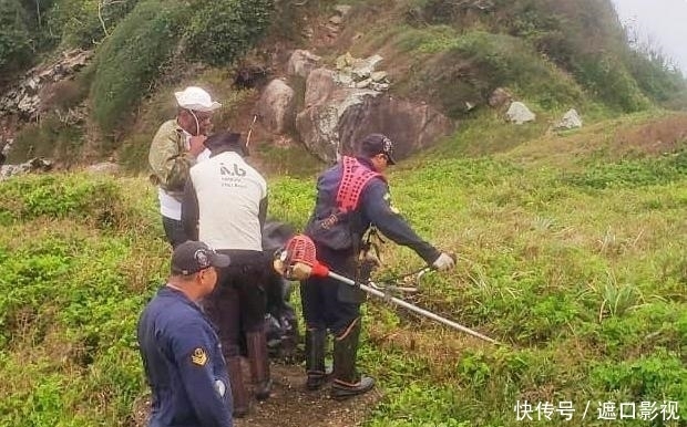 蛇岛|巴西蛇岛每平米内就有一条蛇，蛇毒高于内陆的5倍，被称为“禁地”