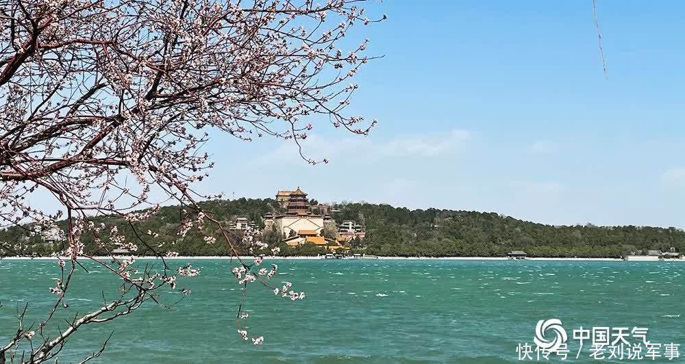 桃花含笑映湖面 颐和园又迎一年赏春时