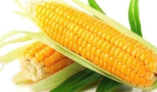 红豆|想长寿先排毒,多吃好食物,排出毒素,清理垃圾,皮肤细腻白嫩