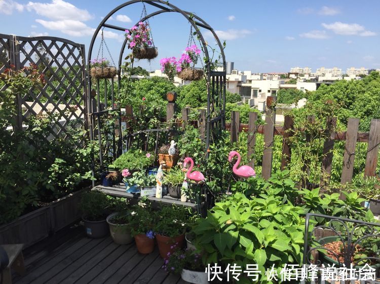 13㎡屋顶造花园,在喧嚣城市里,打造一个自己心灵深处的伊甸园