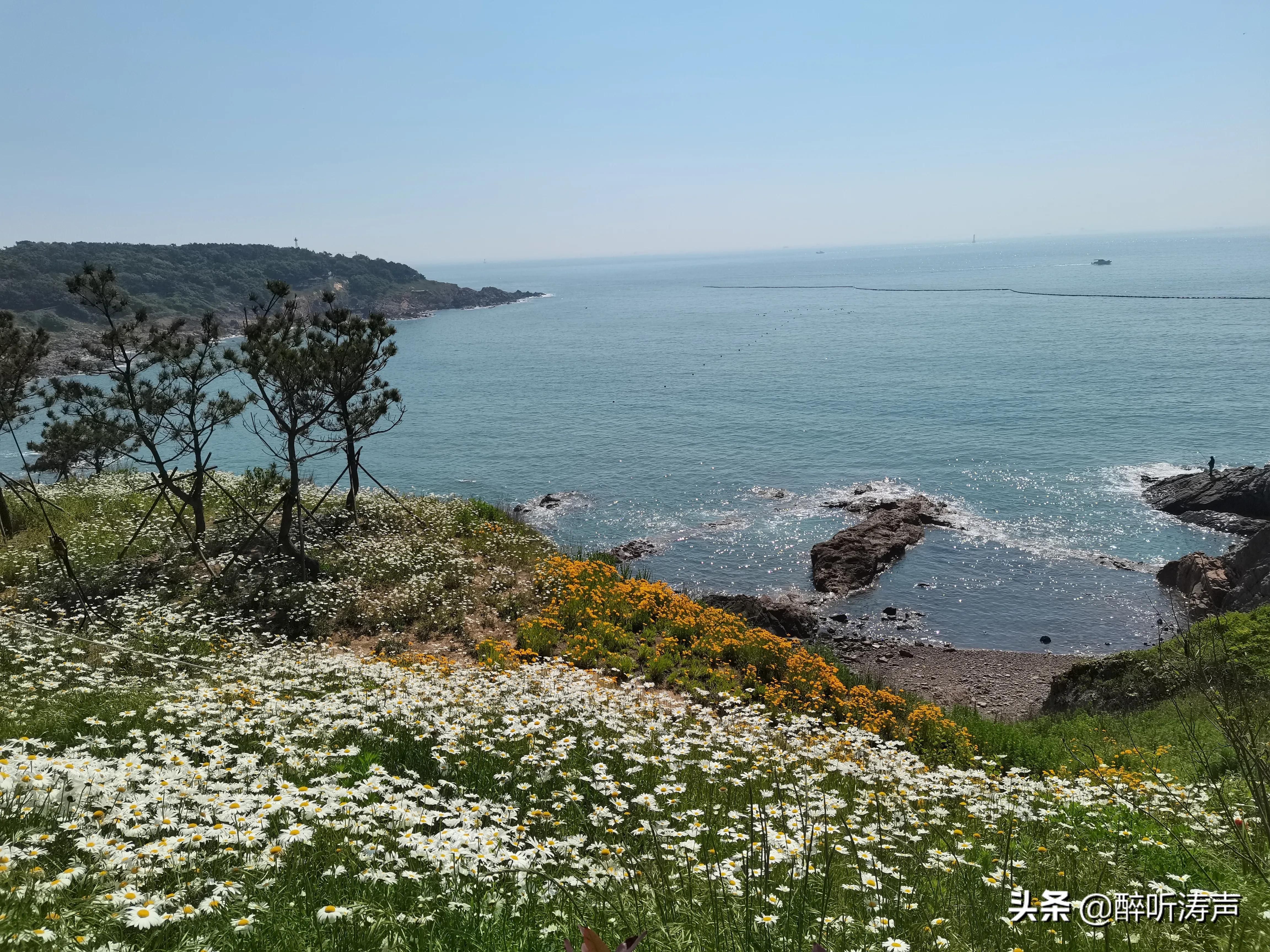 难以形容|天蓝海蓝花海一片片，难以形容的东环岛路之美