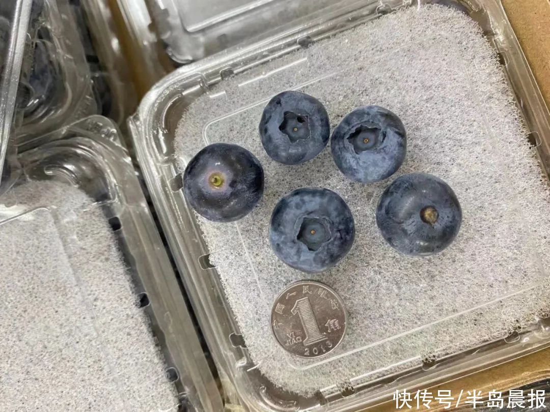 这个词的发音，竟然全世界都一样