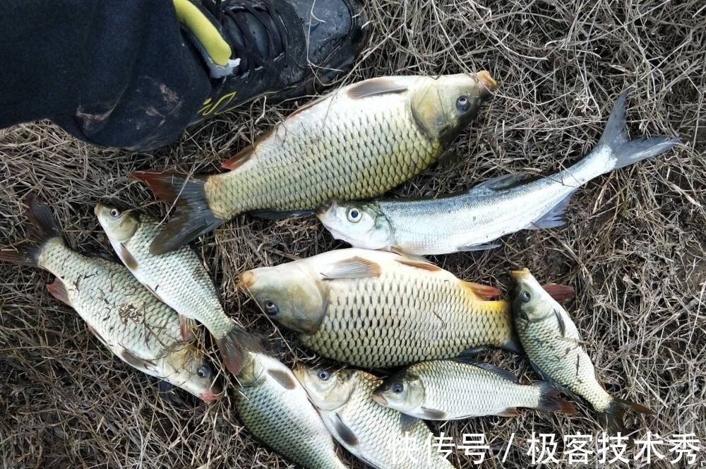 冬钓时,调整钓组的4个小细节,鱼口信号至少放大5倍