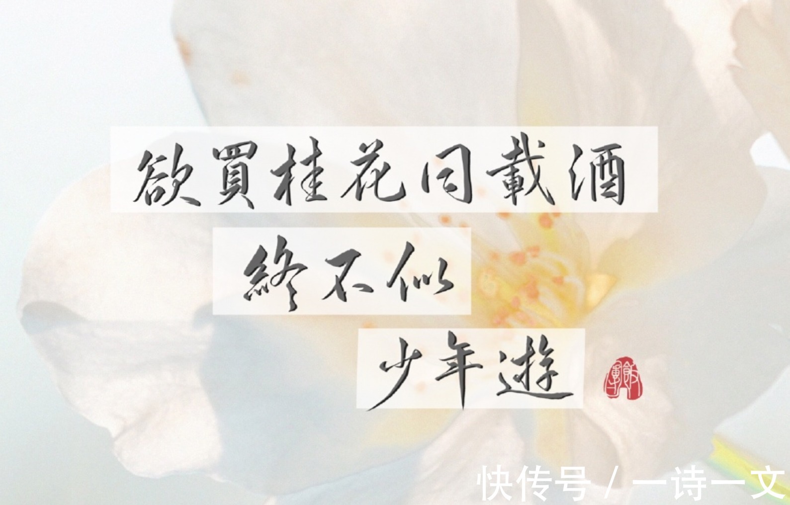 严霜&当万物都是虚无,在夜的空寂里,我想你