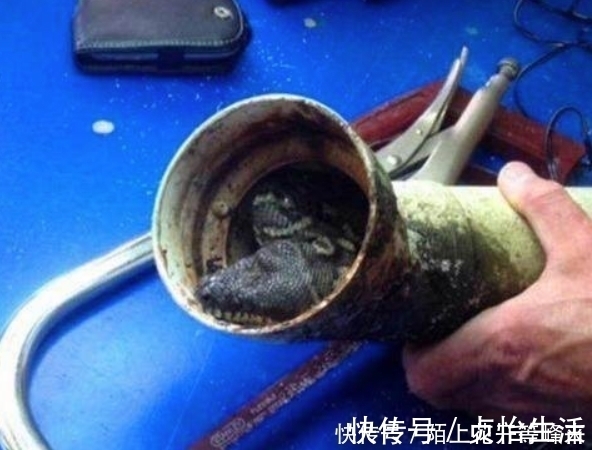 家中下水道堵塞怎么办?教你3种疏通下水道的方法,自己也能解决