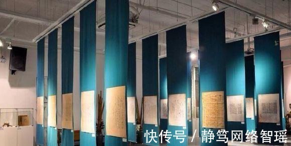 英文#植物大战僵尸:它们能够取代坚果家族?站着不动都能消灭僵尸!