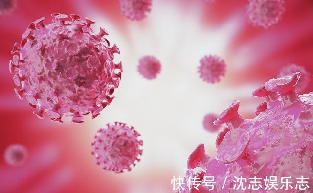 心脑血管|男人睡前“生嚼”几粒枸杞,不出半月,3件好事从天而降