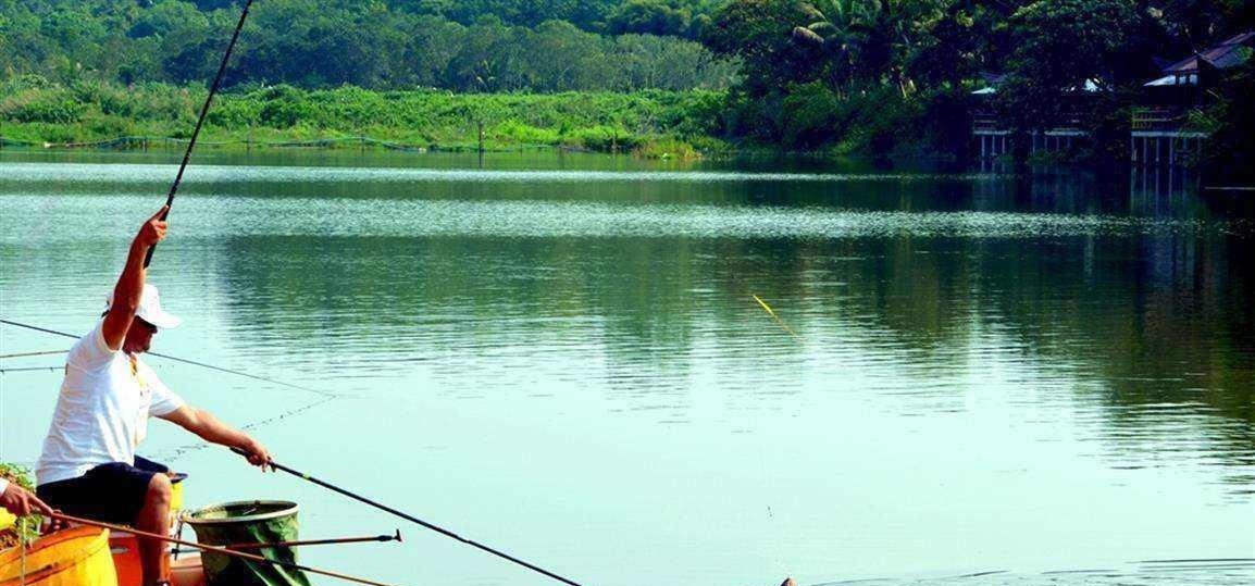 钓鱼必须鱼钩必须躺底打破传统方式,钓底钓浮都上鱼