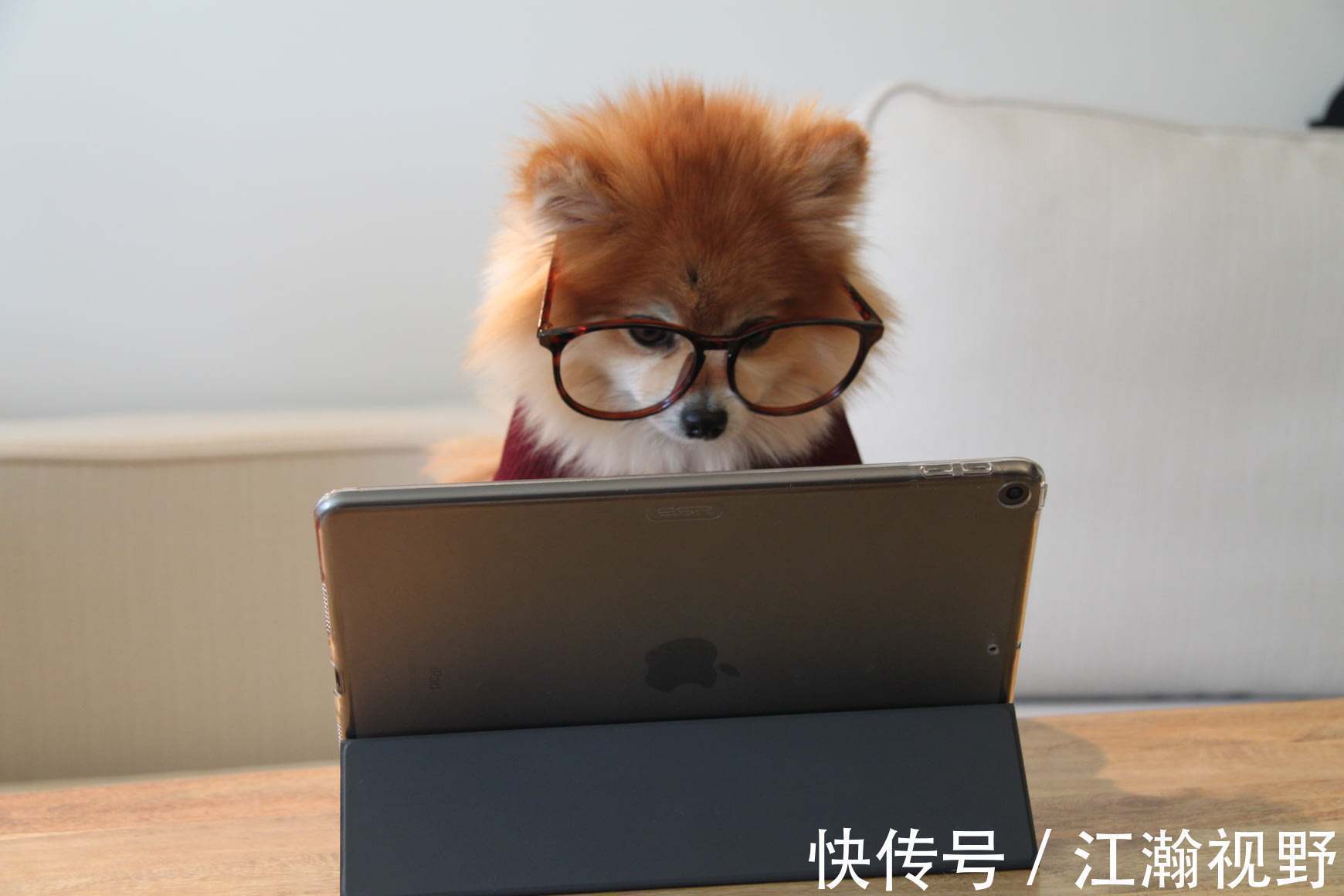 中国网文&给老外写小说,一个月赚几万美金?网文都这么赚了?