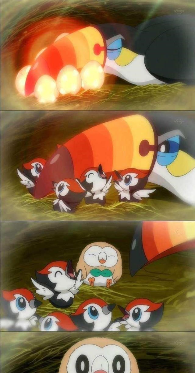 皮卡丘|盘点小智身边最有可能取代皮卡丘的三只精灵,甲贺忍蛙上榜