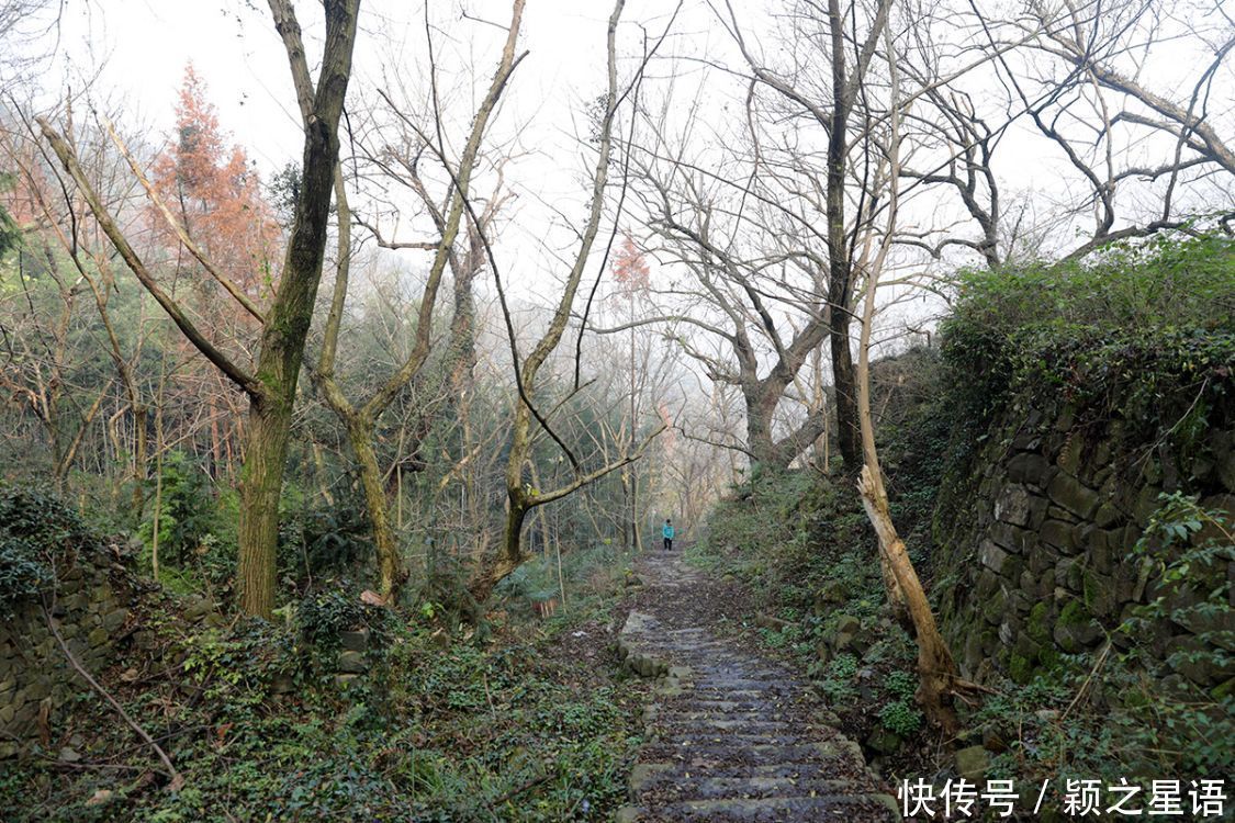 京西|燕窝古道，林山古道，梯形环线风光美