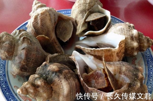尾部|海螺的尾部到底是螺黄还是螺屎呢?很多人没弄明白,别再分不清