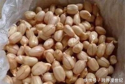 中年|吃花生芽能保护心血管,可所有的都可以吃吗?1种情况要注意