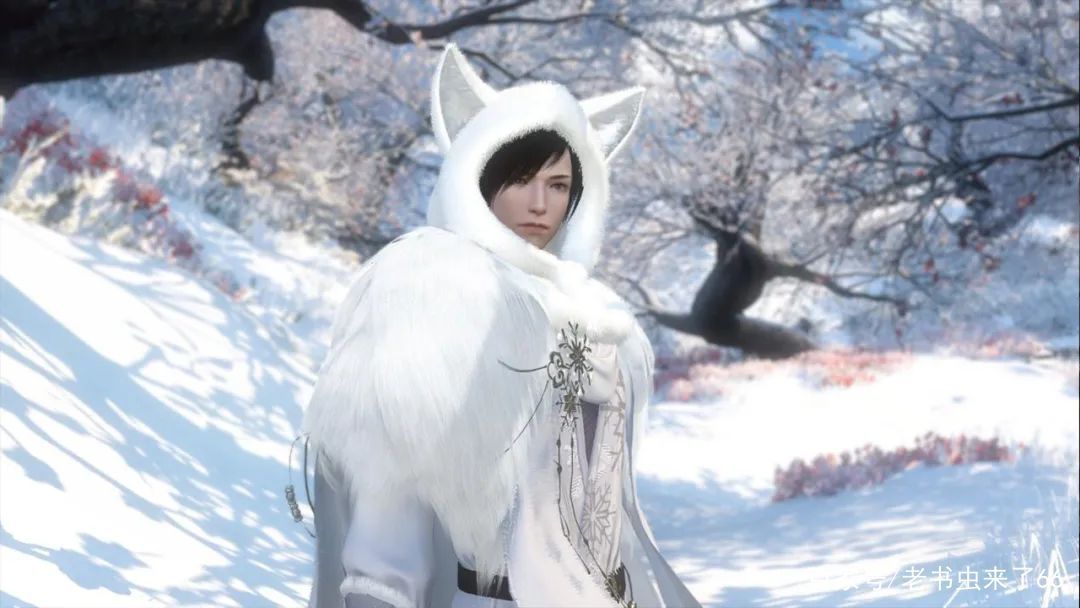 青衫|网文百科气运无敌白前辈,白马青衫少年郎