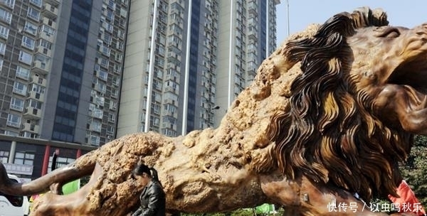 根雕|还记的高速上托运的东方雄狮吗?富豪开价300万被拒,如今怎么样了?