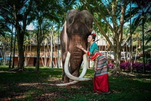 云南适合养老的地方，夏天比海口凉，冬天比长沙暖，知道是哪吗？