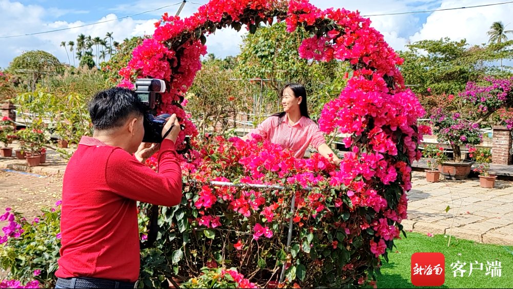 溪边村|“花样百出”迎新春 万宁溪边村三角梅花会开园