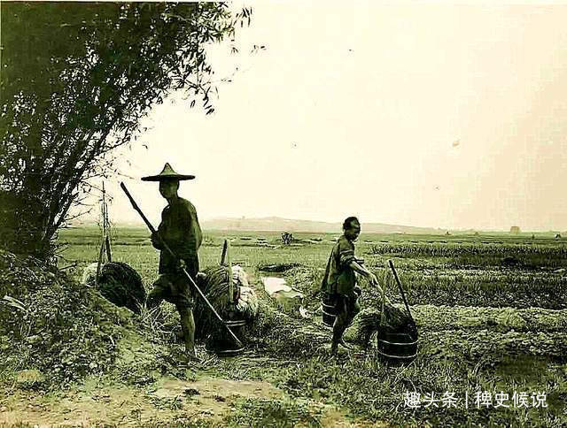 钱镇$清代奇案兄弟上山开荒,双双离奇被害,县令慧眼擒凶,连破两案