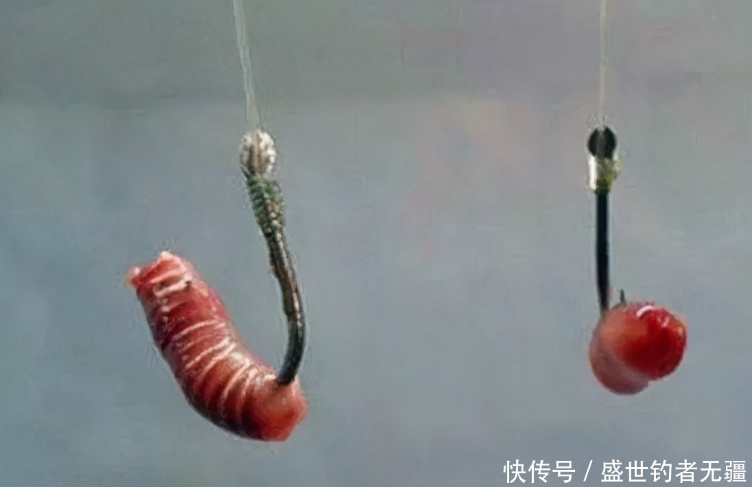 空钩|用蚯蚓钓鱼不会调漂?两种靠谱调漂方法,怎么用都好——盛世三渔