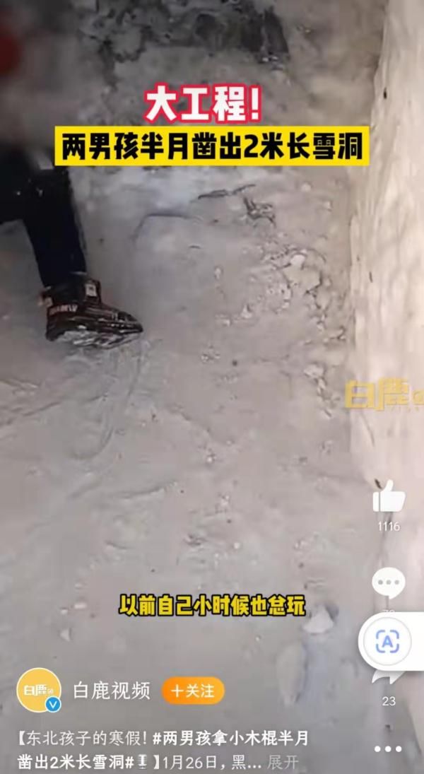 长雪|东北孩子用木棍凿出2米长雪洞！网友表示，小时候都干过……