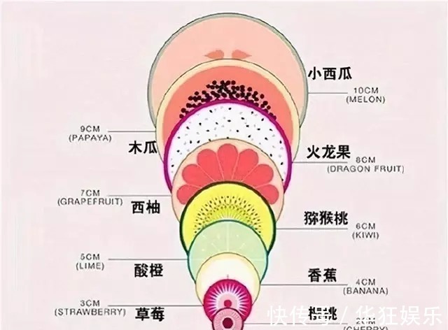 宫口|孕妈顺产时,“开十指”宫口到底开多大?一张水果平面图让人震撼